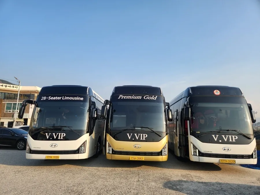 Limousine Bus