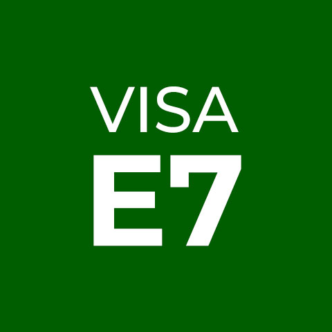 visa e7